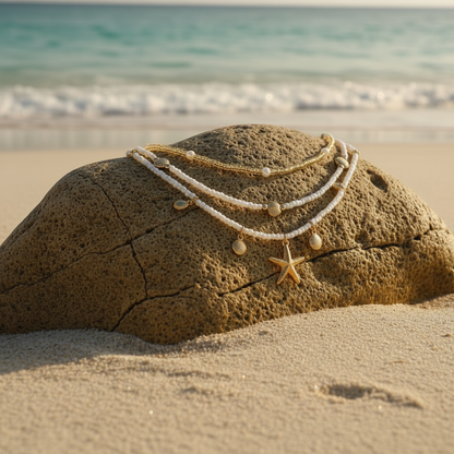 collier coquillage avélis sur roche bord de plage